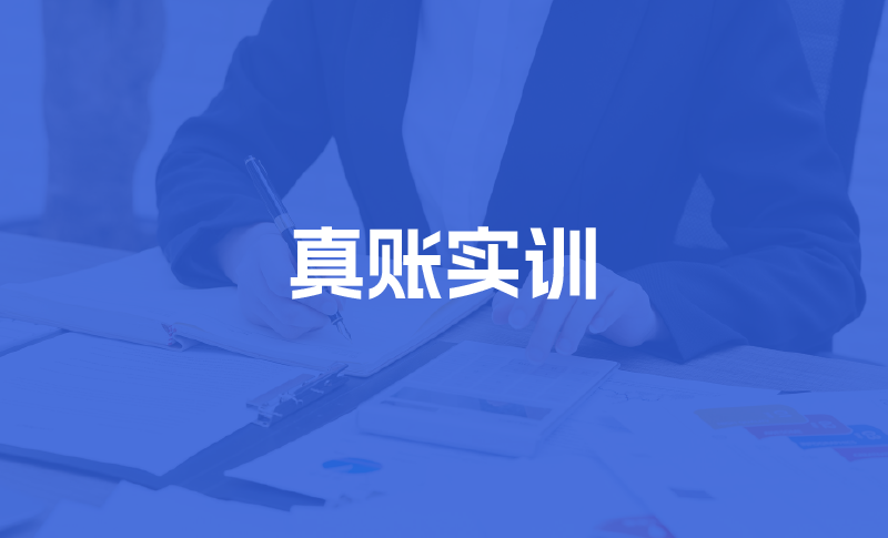 实用财税技能培训